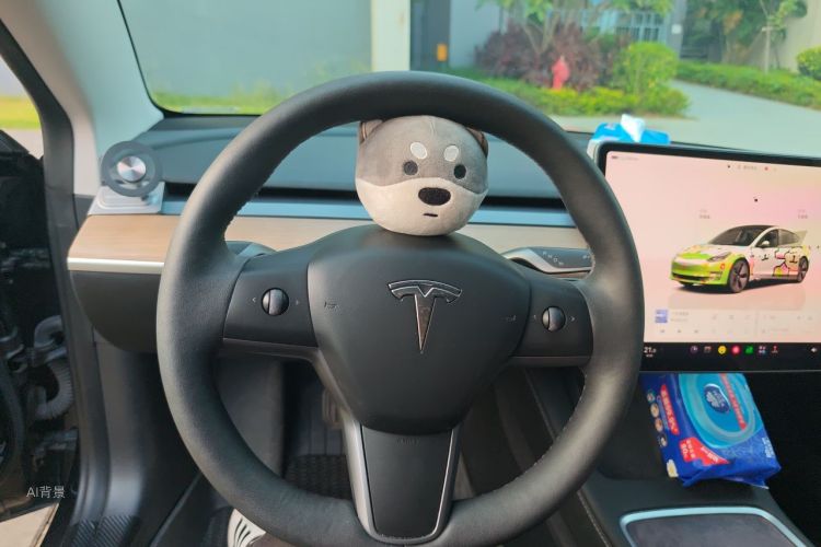 Tesla Model 3 2023 immagine di auto #12