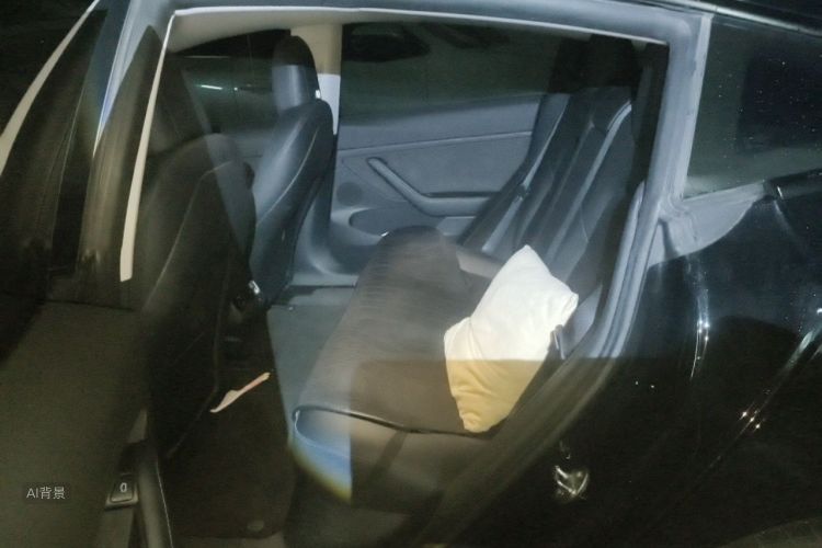 Tesla Model 3 2022 immagine di auto #19