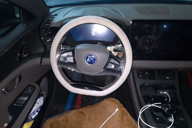 BYD Han 2021 #15 BYD Han 2021 immagine di auto #15