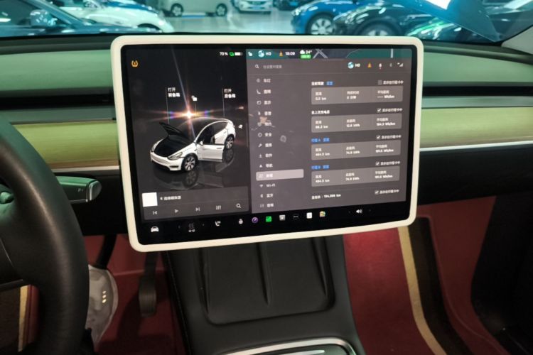 Tesla Model Y 2022 #13 Tesla Model Y 2022 car image #13