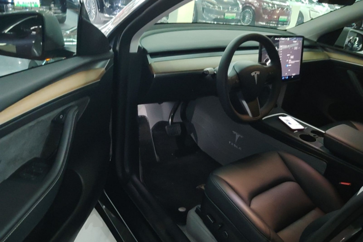 Tesla Model Y 2023 car image #16