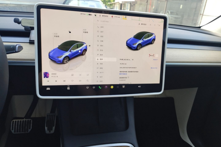 Tesla Model Y 2023 car image #15