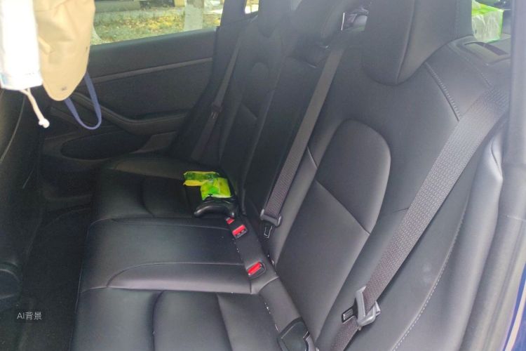 Tesla Model 3 2020 car image #19