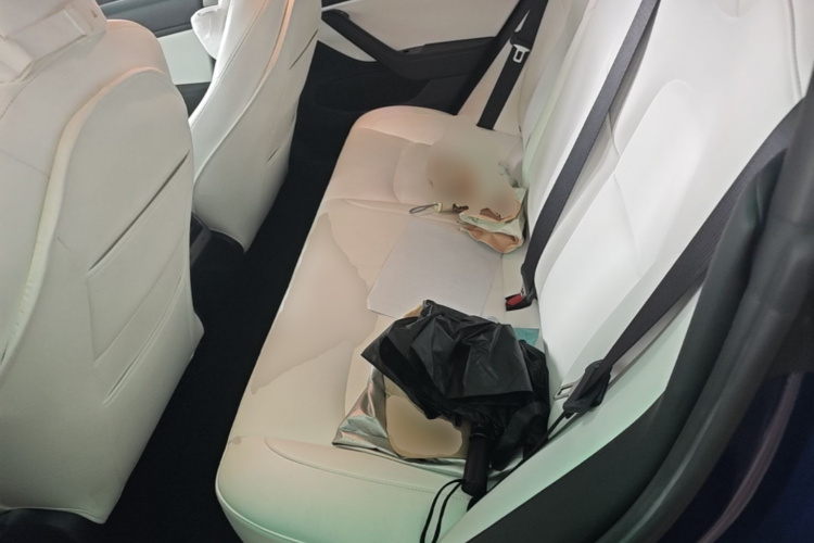 Tesla Model 3 2020 #17 Tesla Model 3 2020 car image #17