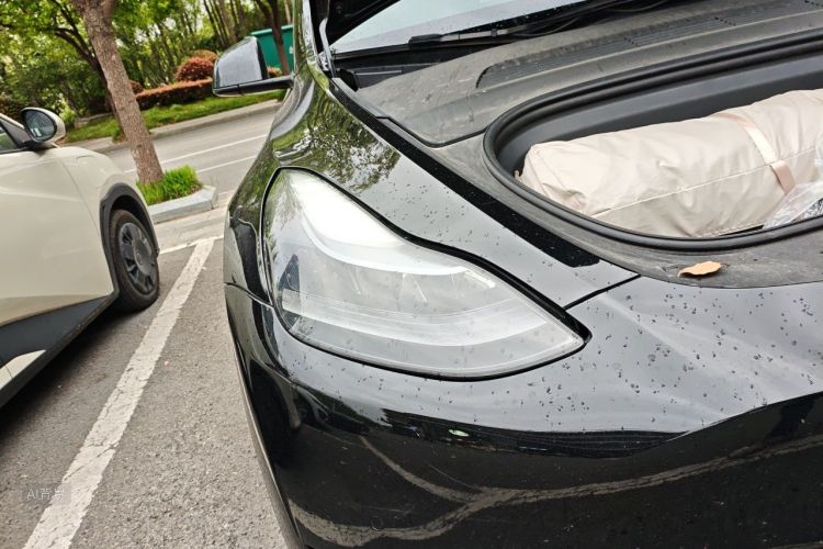 Tesla Model Y 2021 #8 Tesla Model Y 2021 car image #8