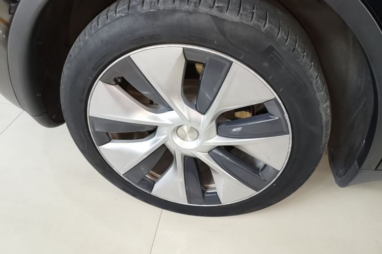 Tesla Model Y 2021 car image #10