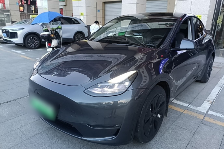 Tesla Model Y 2021 car image #2