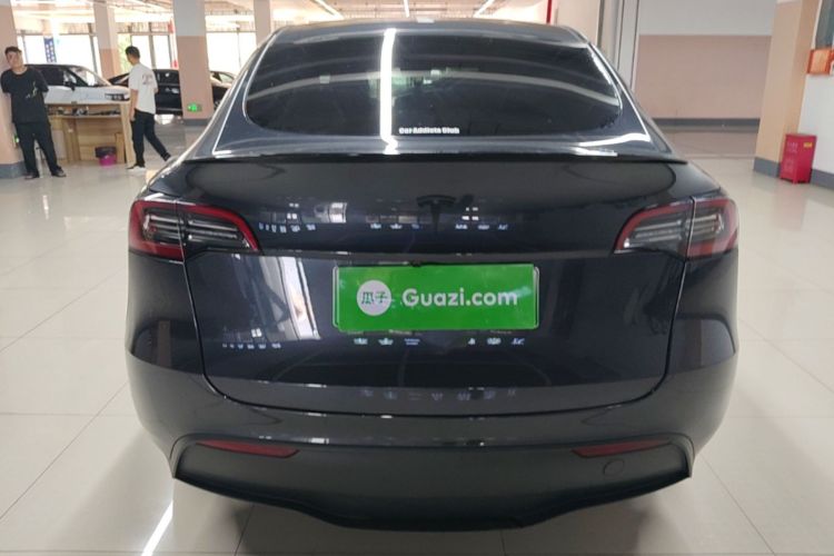Tesla Model Y 2024 car image #6