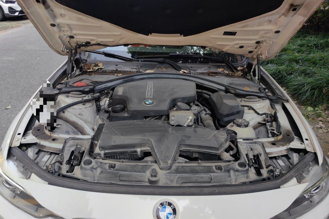 BMW 3 Series 2015 car image #10