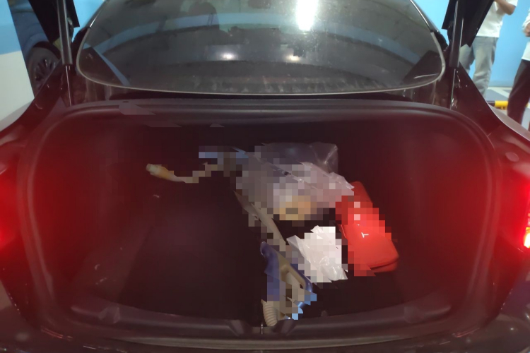 Tesla Model 3 2020 #18 Tesla Model 3 2020 immagine di auto #18