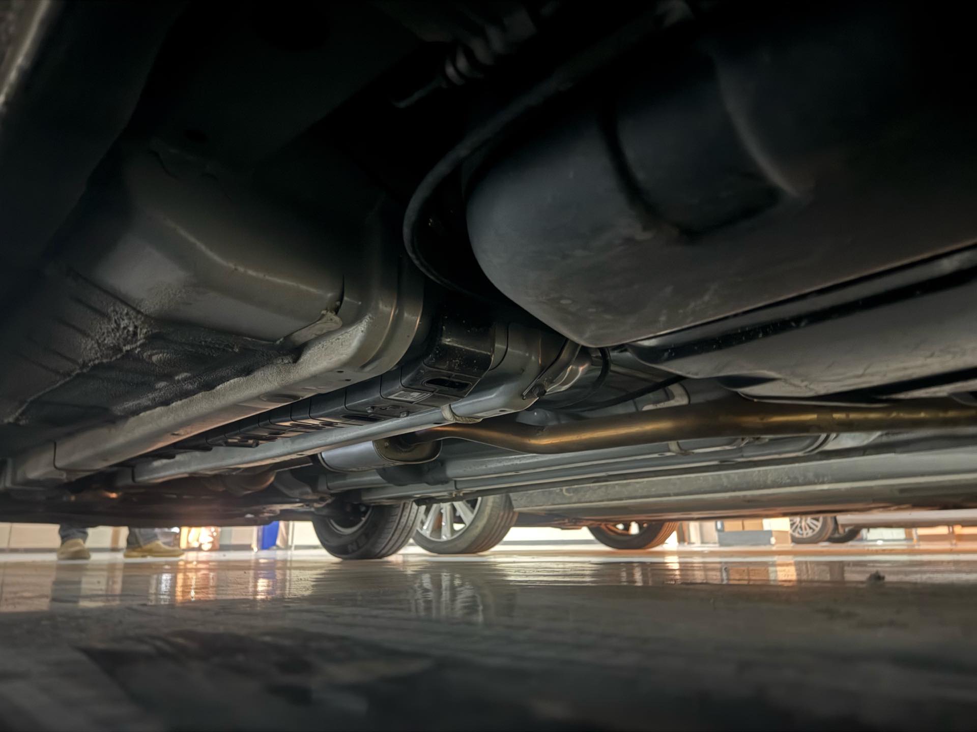 Kia Pegas 2023 image de voiture #7