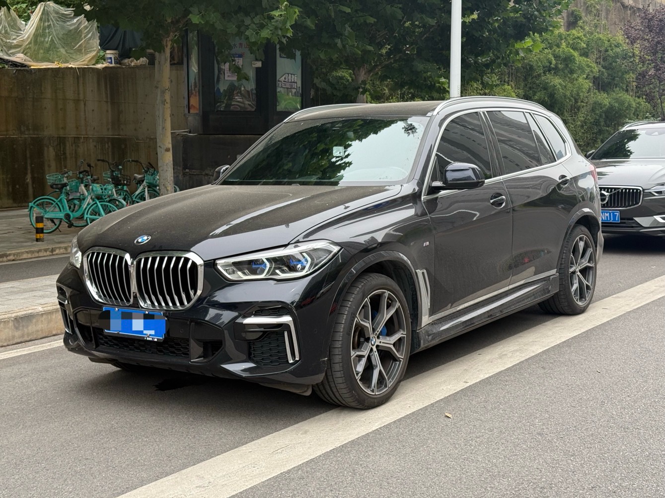 BMW X5 2023 car image 