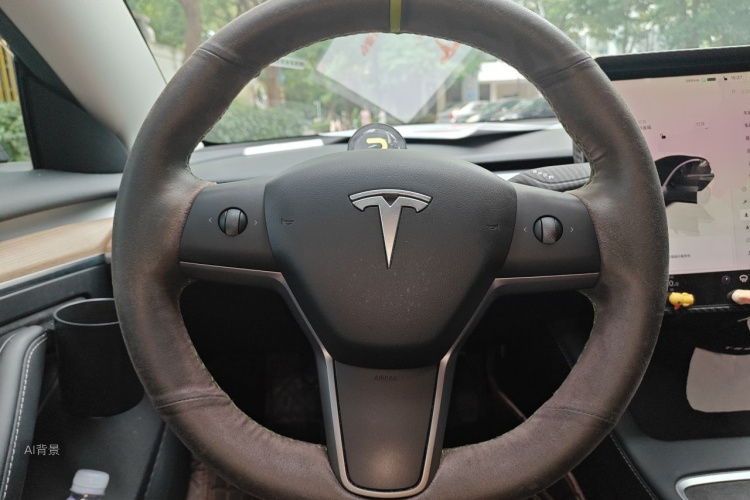 Tesla Model 3 2022 car image #12