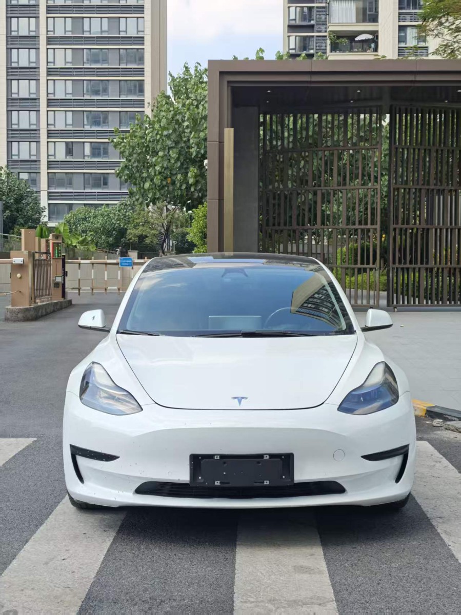 Tesla Model 3 2022 #2 Tesla Model 3 2022 imagem de carro #2