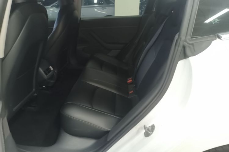 Tesla Model 3 2020 #13 Tesla Model 3 2020 car image #13