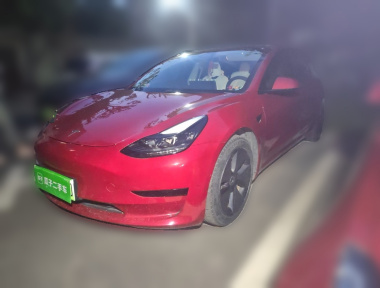 Tesla Model 3 2021 Tesla Model 3 2021 imagen de coche