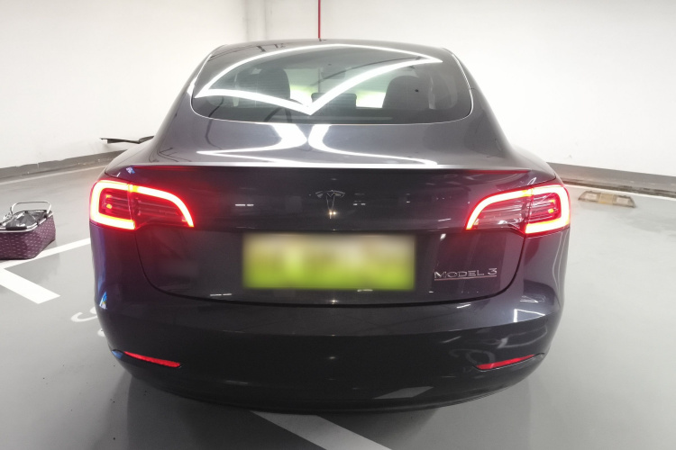 Tesla Model 3 2021 car image #6