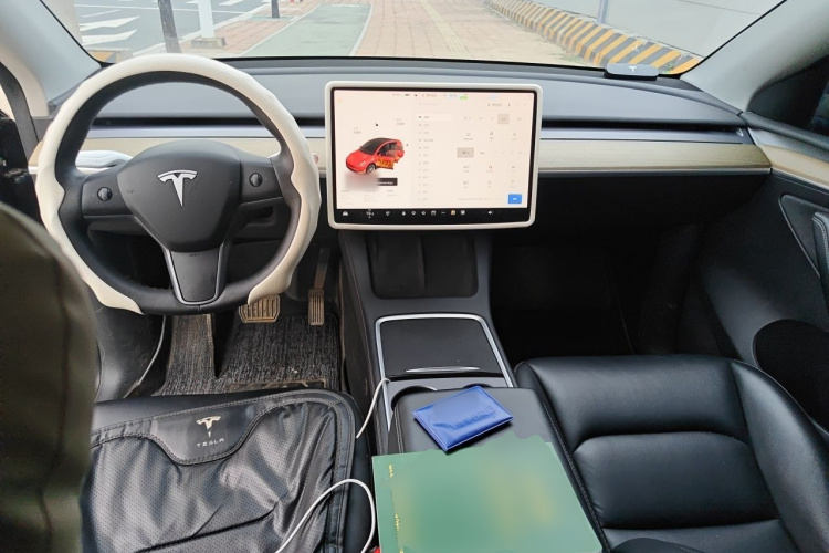 Tesla Model Y 2021 car image #12