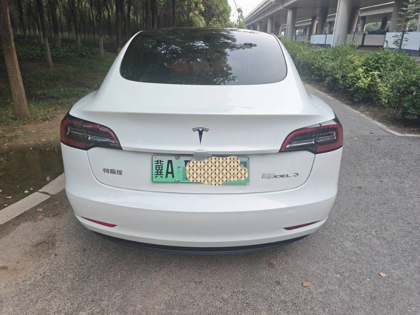 Tesla Model 3 2022 #3 Tesla Model 3 2022 car image #3