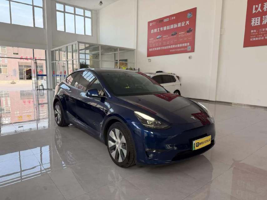 Tesla Model Y 2021 car image #6