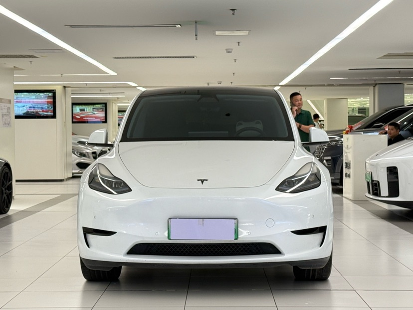 Tesla Model Y 2023 #2 Tesla Model Y 2023 car image #2