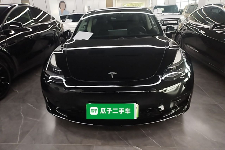 Tesla Model 3 2021 #3 Tesla Model 3 2021 car image #3