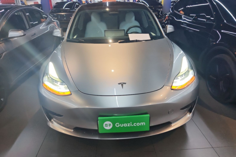 Tesla Model 3 2022 imagem de carro #3