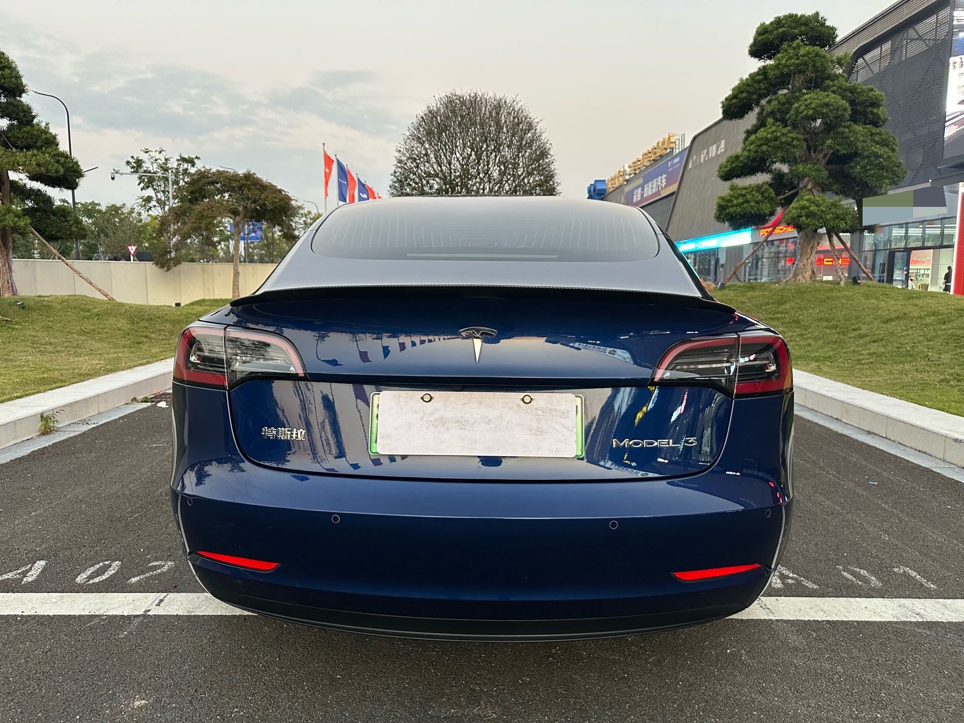 Tesla Model 3 2020 #8 Tesla Model 3 2020 car image #8
