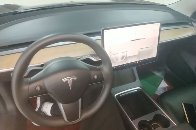 Tesla Model 3 2022 car image #10