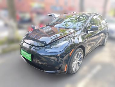 Tesla Model Y 2022 Tesla Model Y 2022 car image