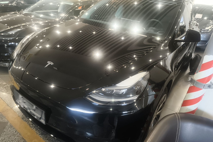 Tesla Model Y 2023 car image #2