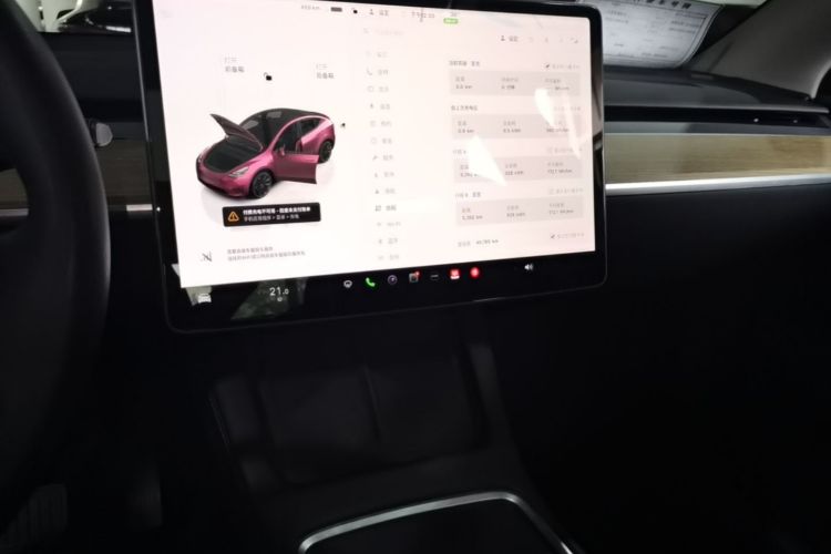 Tesla Model Y 2022 car image #13