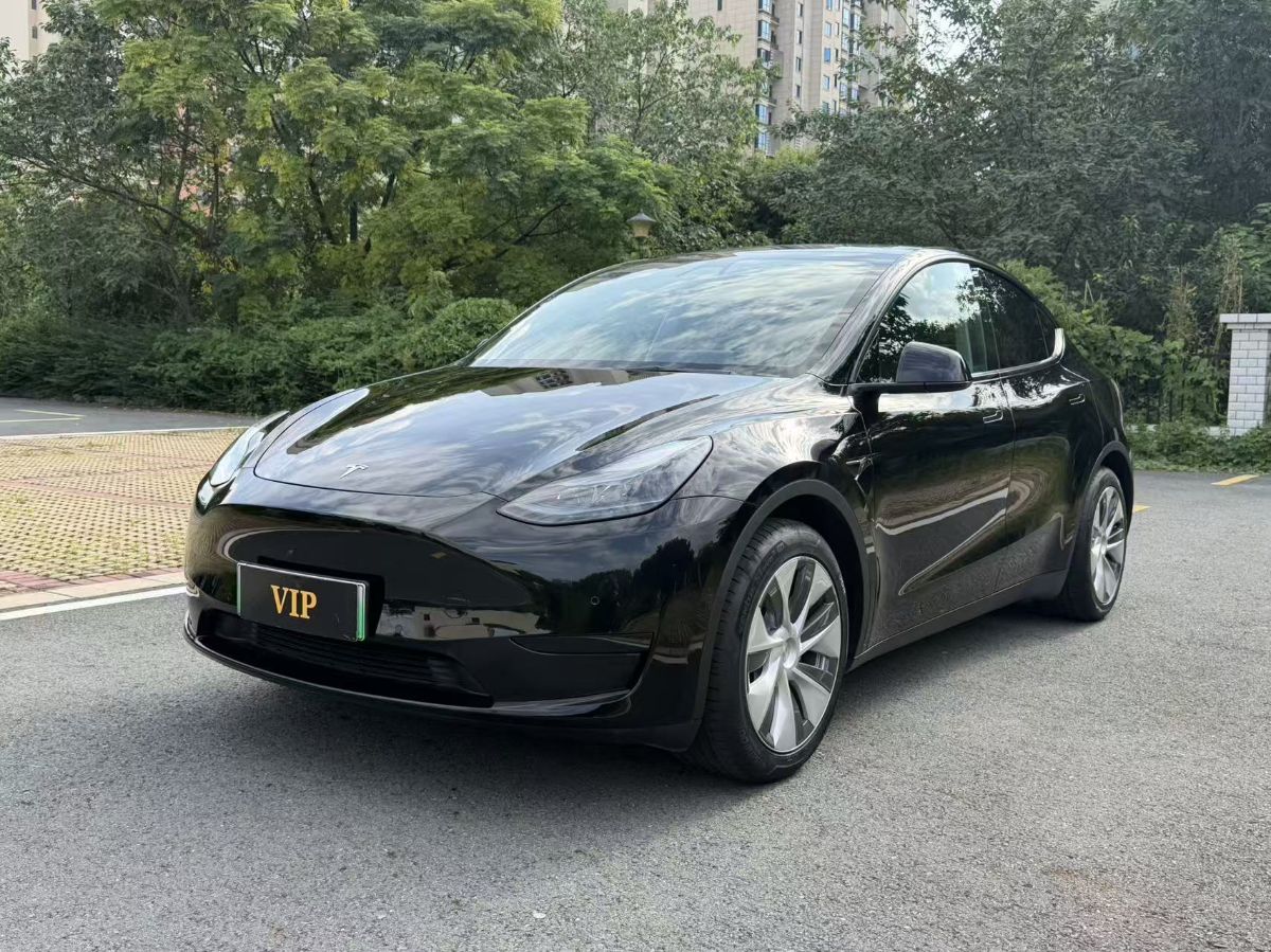 Tesla Model Y 2023 car image 