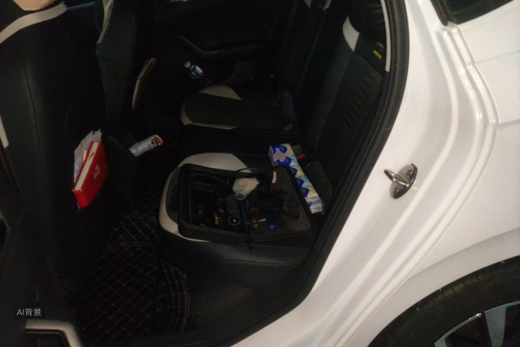 Volkswagen Polo 2021 car image #19