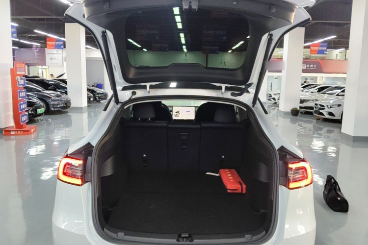 Tesla Model Y 2024 car image #19