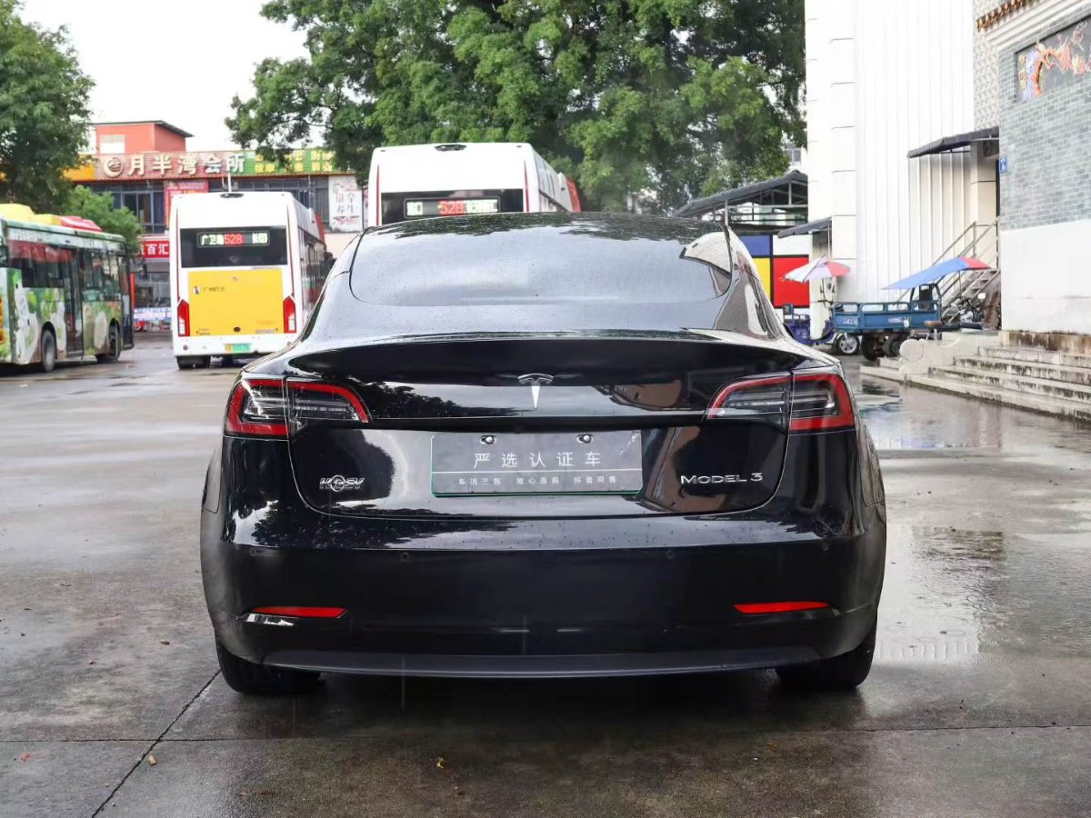 Tesla Model 3 2020 #8 Tesla Model 3 2020 car image #8