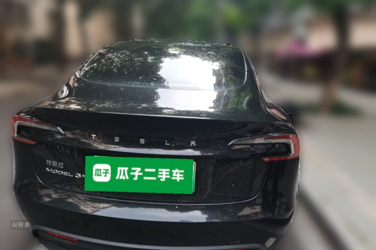 Tesla Model 3 2024 car image #6