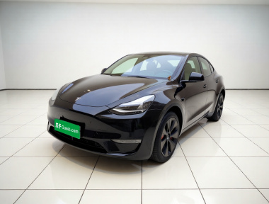 Tesla Model Y 2022 Tesla Model Y 2022 car image