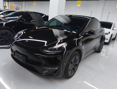 Tesla Model Y 2024 Tesla Model Y 2024 car image
