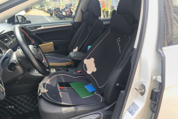 Volkswagen Golf 2019 car image #17