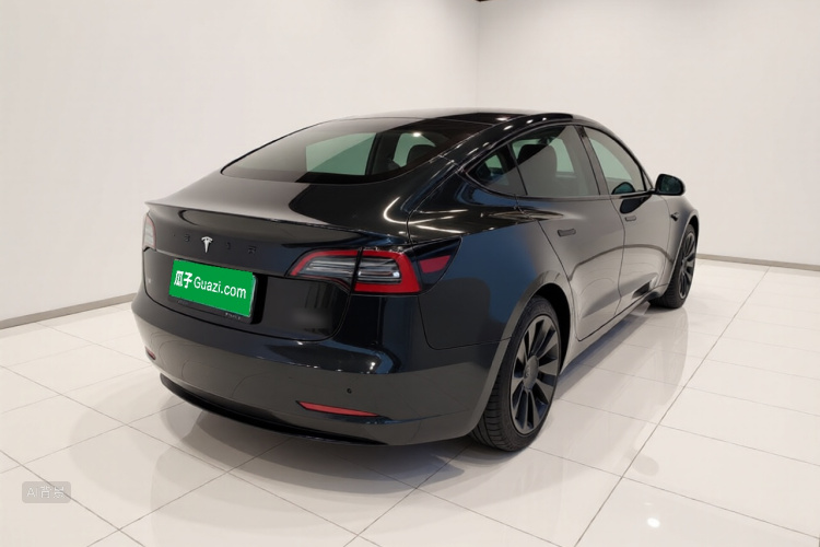 Tesla Model 3 2021 car image #7
