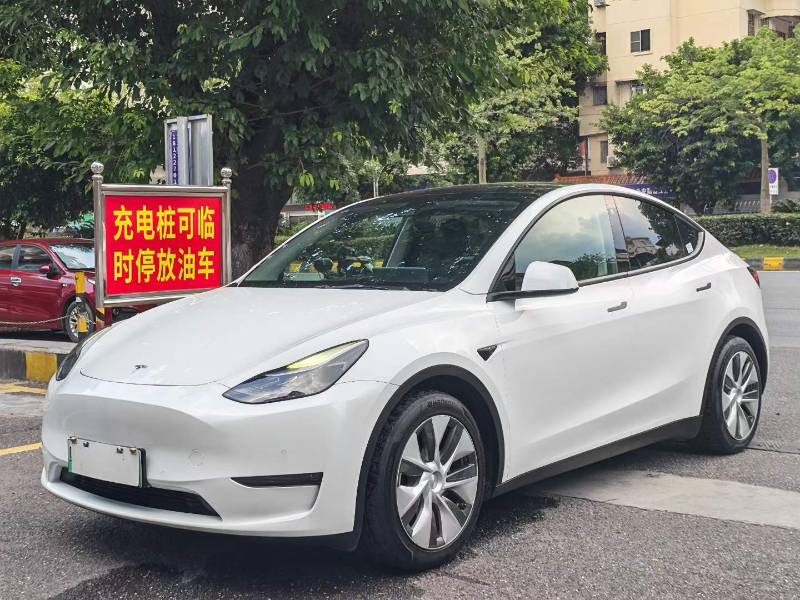 Tesla Model Y 2021 Tesla Model Y 2021 car image