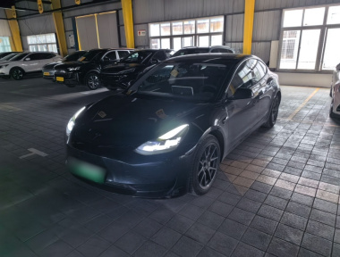 Tesla Model 3 2022 Tesla Model 3 2022 immagine di auto