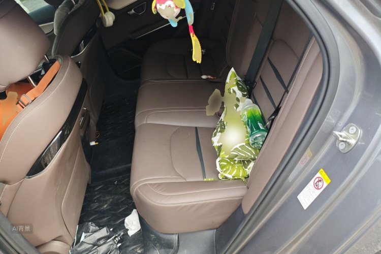 BYD Han 2022 car image #19