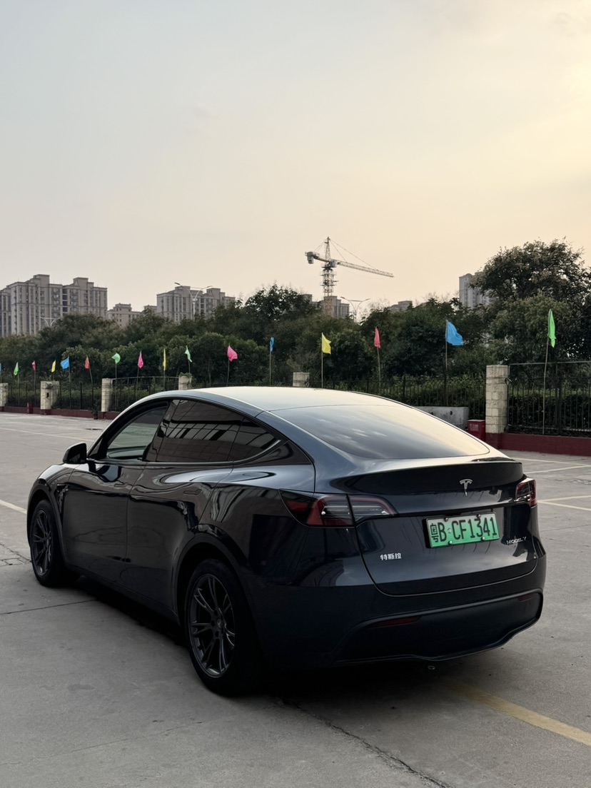Tesla Model Y 2024 car image #7