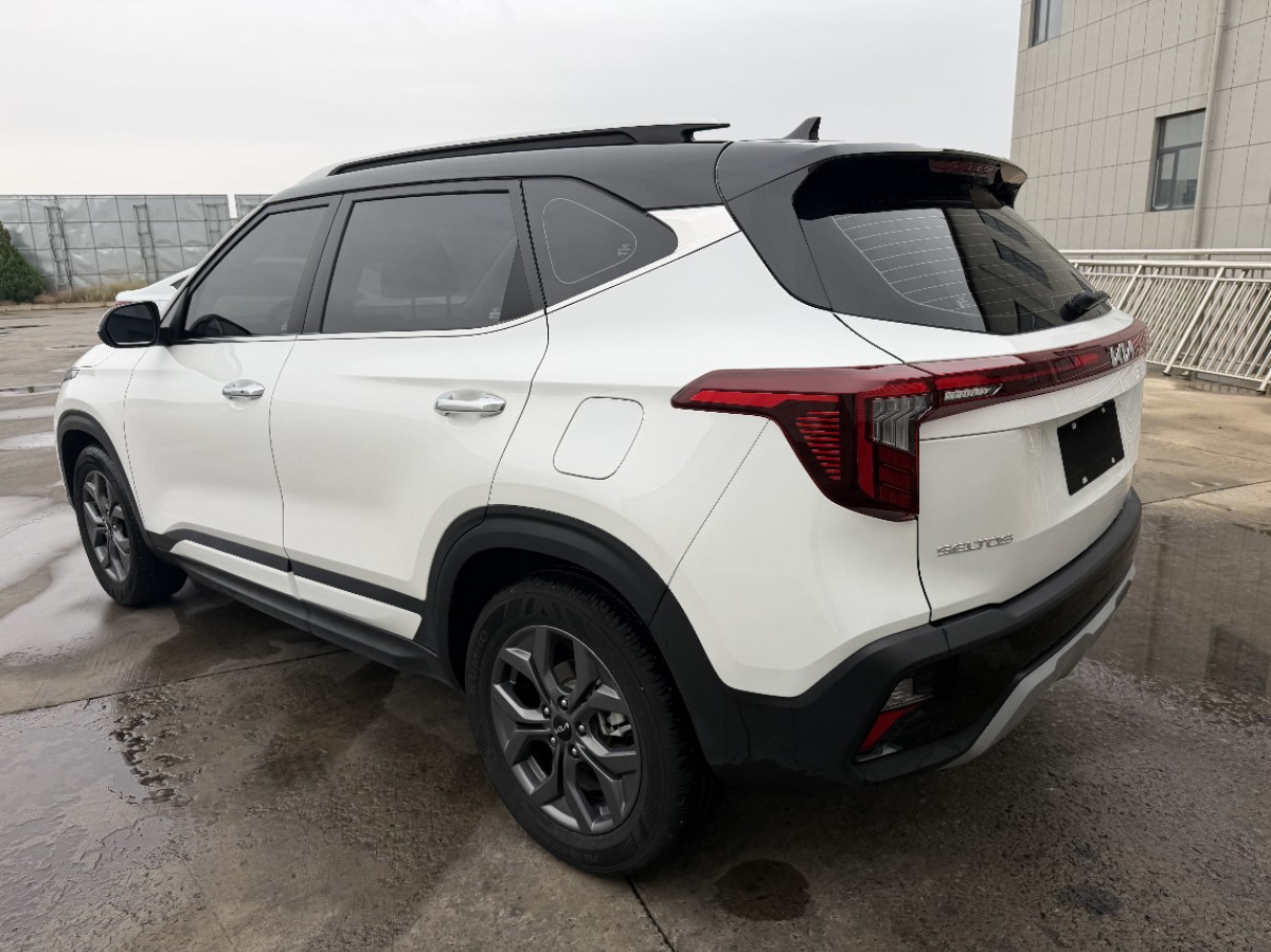 Kia Seltos 2023 car image #8