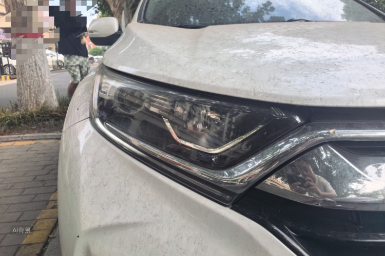 Honda CR-V 2019 car image #8