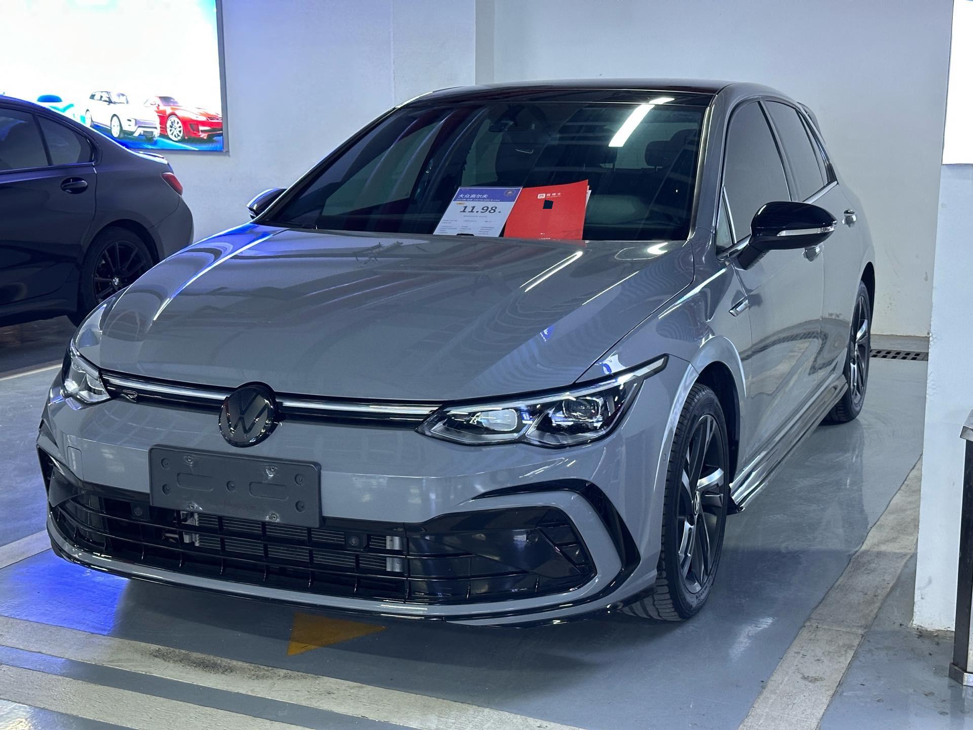 大众 高尔夫 2024 汽车图片 