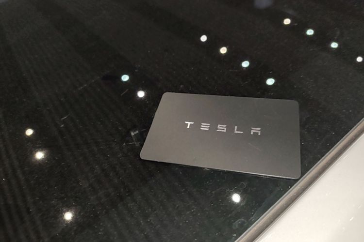 Tesla Model Y 2024 #9 Tesla Model Y 2024 car image #9