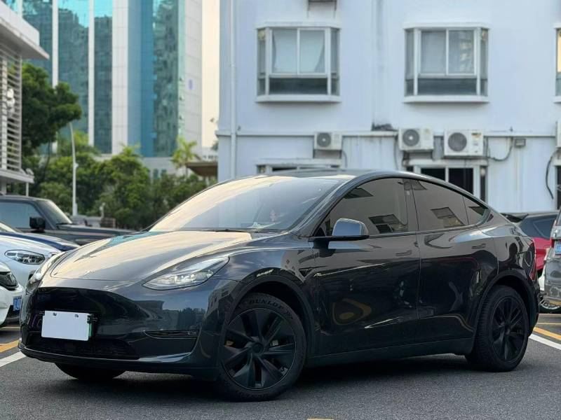 Tesla Model Y 2024 car image 